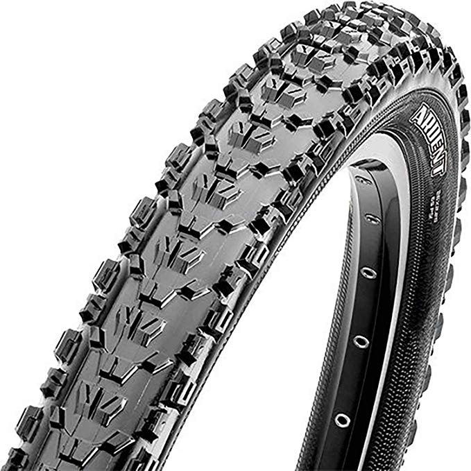 Maxxis Ardent TR EXO Tire
