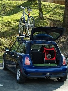 Use the Mini as a crate in the car